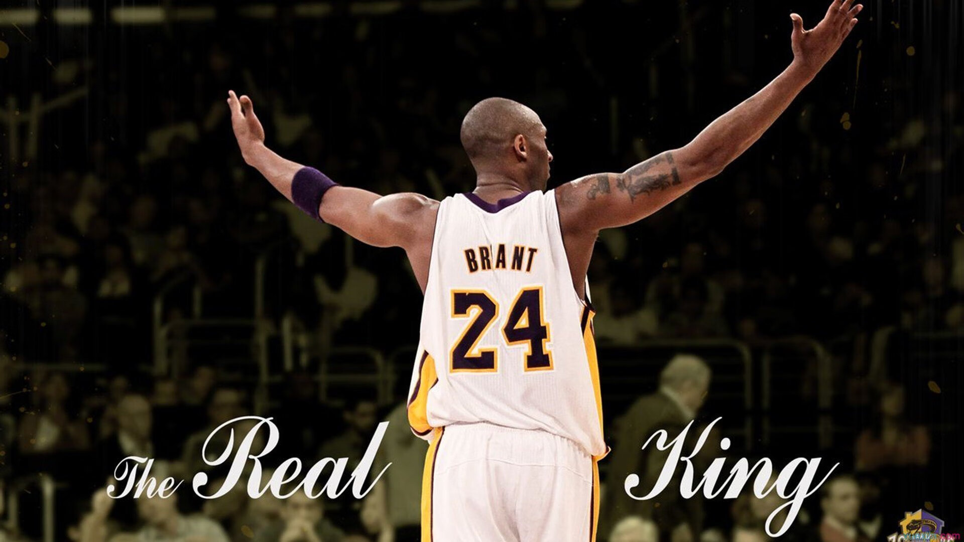 字母哥存在感拉满，雄鹿打穿热火，一场统治级的东部对决